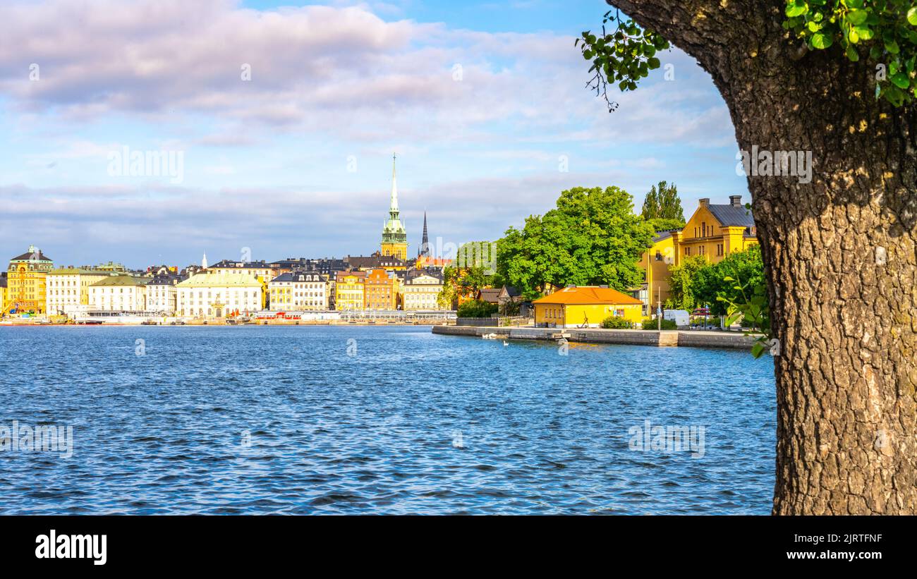 Panoramablick auf bunte Häuser in der Altstadt von Stockholm Stockfoto