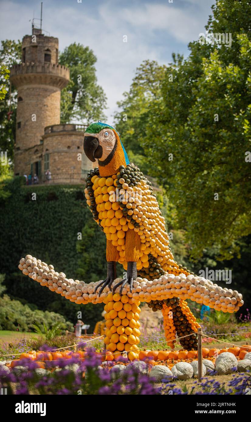 Ludwigsburg, Deutschland. 26. August 2022. Zu Beginn der Ludwigsburger Pumpkin-Ausstellung im Blühenden Barock ist ein Papagei aus Kürbissen des Künstlers Pit Ruge zu sehen. Unter dem Motto „Dschungel“ findet die Ausstellung von 26.08.2022 bis 04.12.2022 Uhr statt. Quelle: Christoph Schmidt/dpa/Alamy Live News Stockfoto