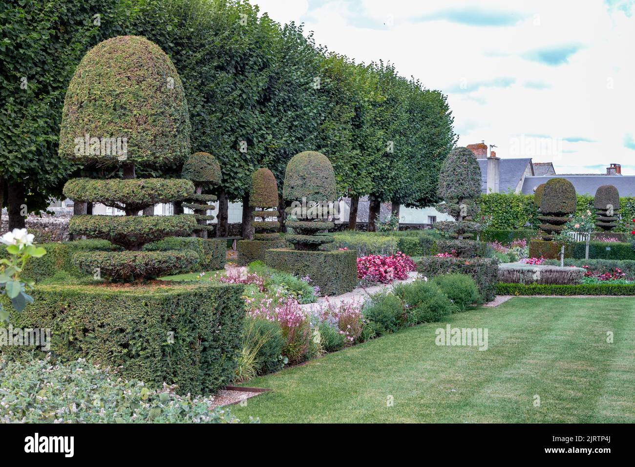 VILLANDRY, FRANKREICH - 7. SEPTEMBER 2019: Dies ist eine Wiese des Apothekergartens des Schlosses Villandry im Loire-Tal. Stockfoto