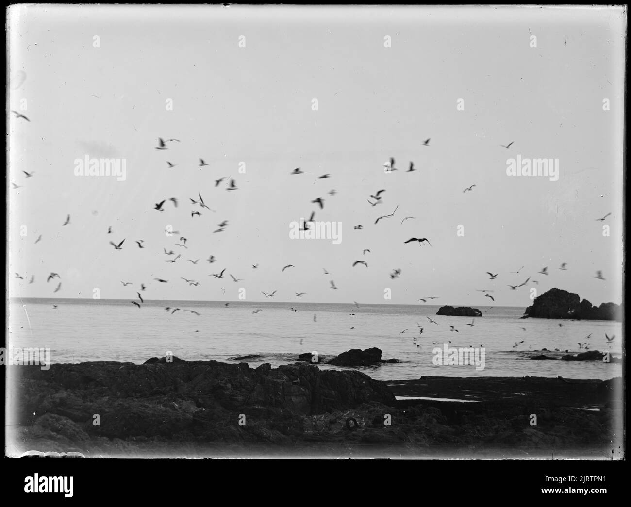 Wellington und Umgebung - Nummer 3, 1923. Mai, 1923. Mai, von Leslie Adkin. Schenkung des Gutsbesitzes der Familie G. L. Adkin, 1964. Stockfoto