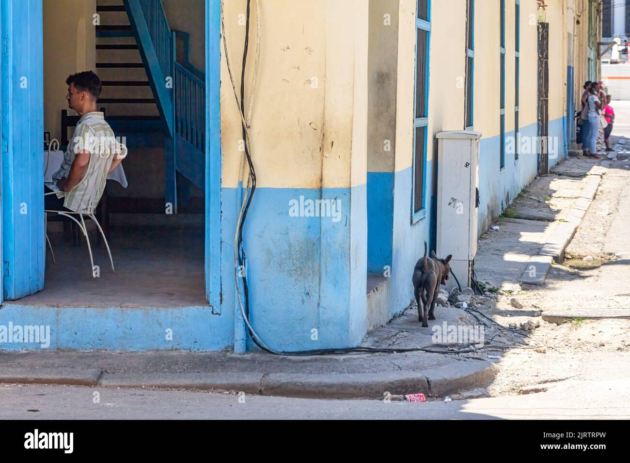 Ein Kubaner sitzt auf einem Stuhl in einem Regierungsbüro. Die Straße ist beschädigt oder mangelhaft gewartet. Ein streunender Hund läuft auf dem Bürgersteig Stockfoto