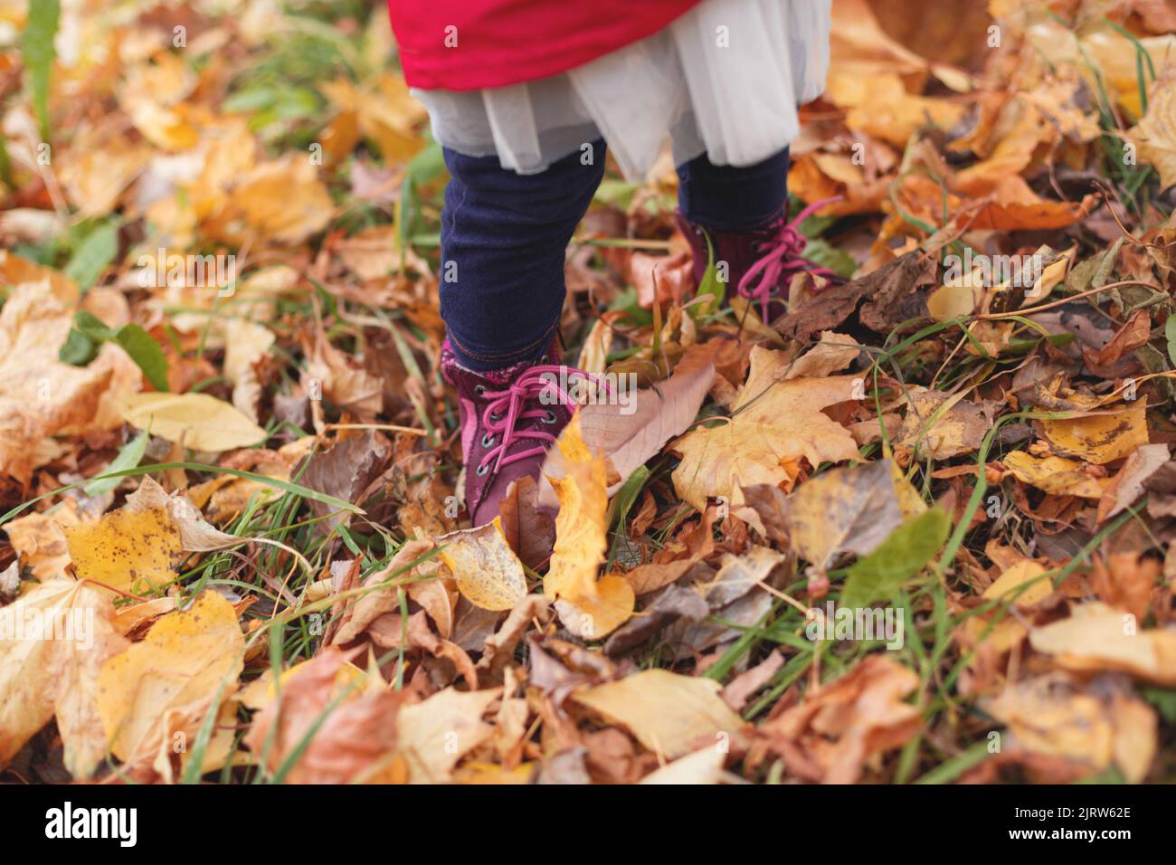 Kleine Mädchen Füße stehen in Herbstblättern. Weicher, selektiver Fokus. Stockfoto