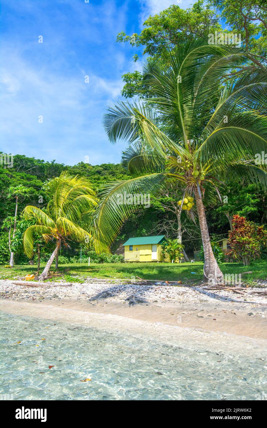 Ein wunderschöner tropischer Strand mit einer gelben Hütte zeigt das klare Wasser, die üppige Insel und den lebhaften Himmel von Fidschi im südpazifik. Stockfoto