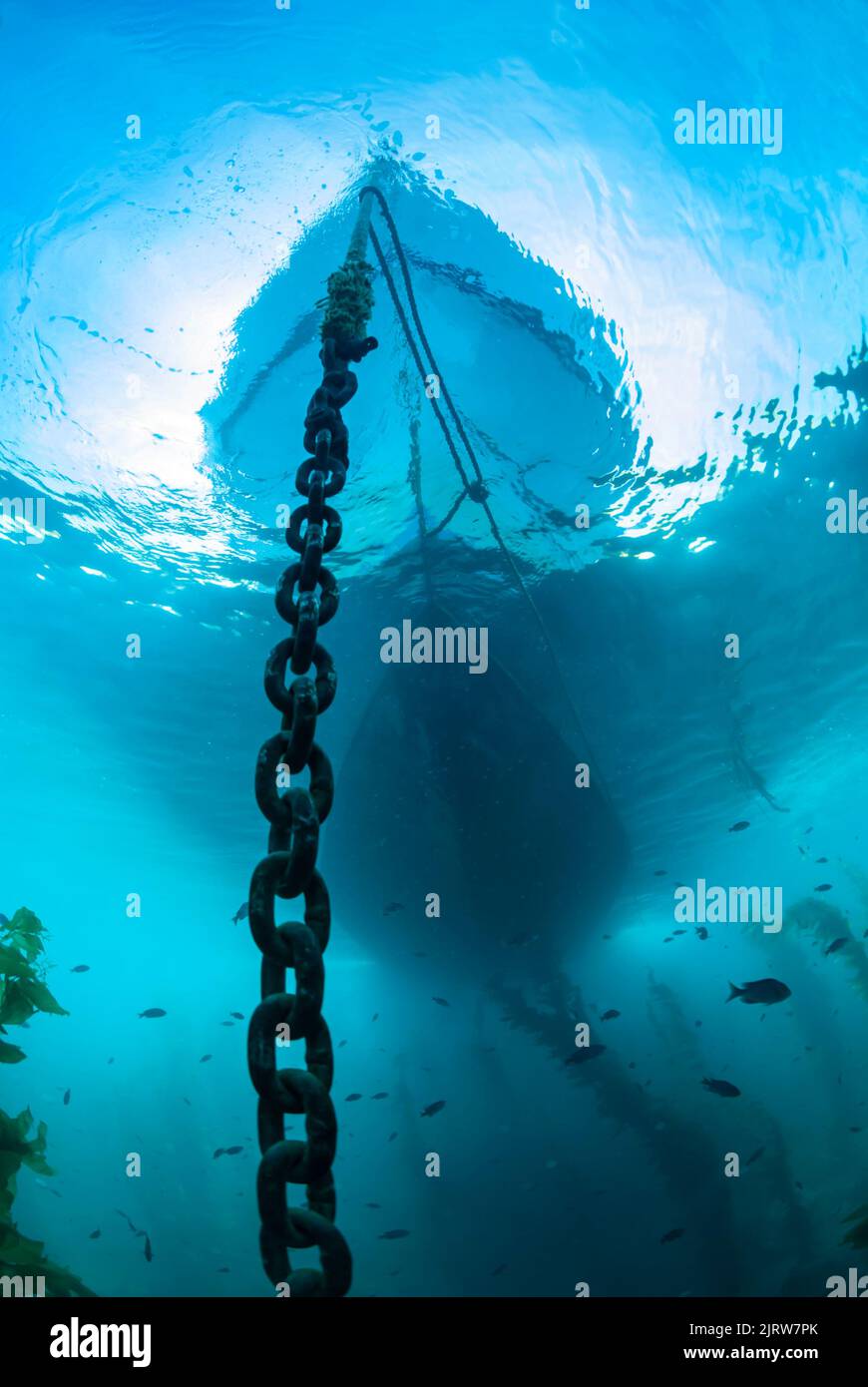 An einem schönen Tag wird auf einem flachen Riff ein großes Vergnügungsboot vor Anker gelegt. Stockfoto