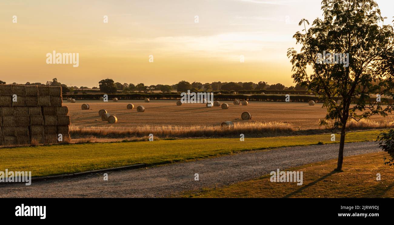 Erntezeit in North Yorkshire, England, Vereinigtes Königreich Stockfoto