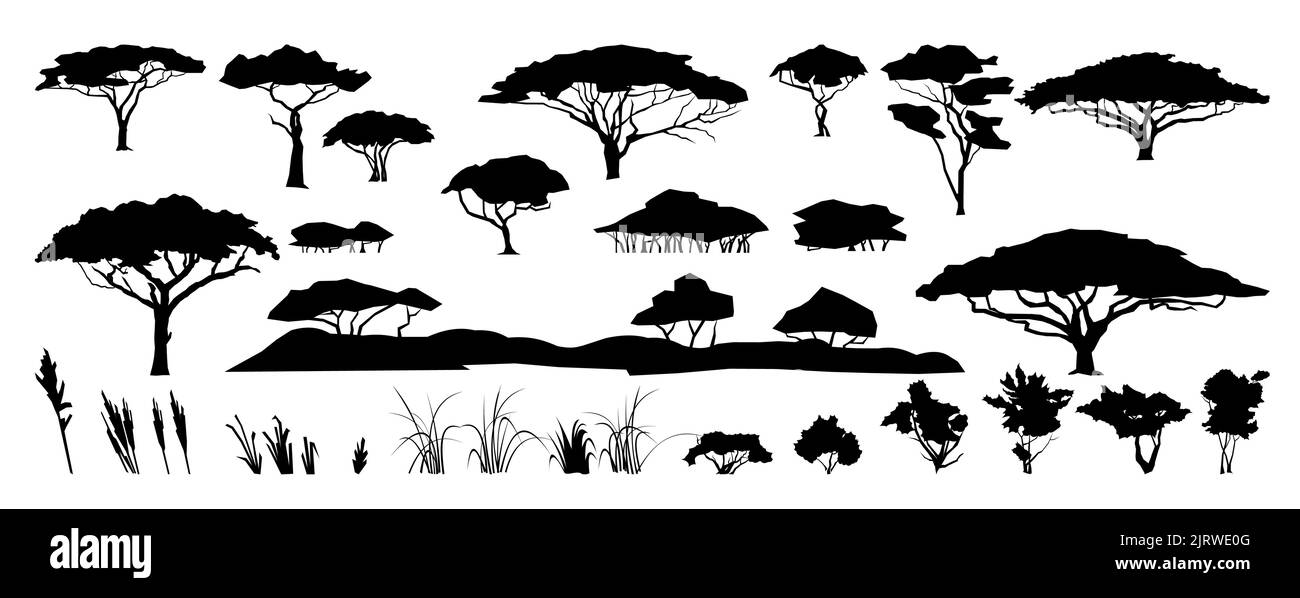Set von Pflanzen und Kräutern. Silhouettenbild. Afrikanische Savannenlandschaft. Akazienbaum aus Afrika. Isoliert auf weißem Hintergrund. Vektor Stock Vektor