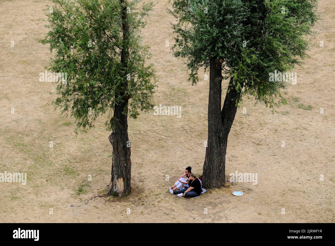 26.08.2022, Düsseldorf, Nordrhein-Westfalen, Deutschland - auf dem Trockenen, zwei Frauen sitzen an einem Augusttag unter zwei Baumen auf der völlig Stockfoto