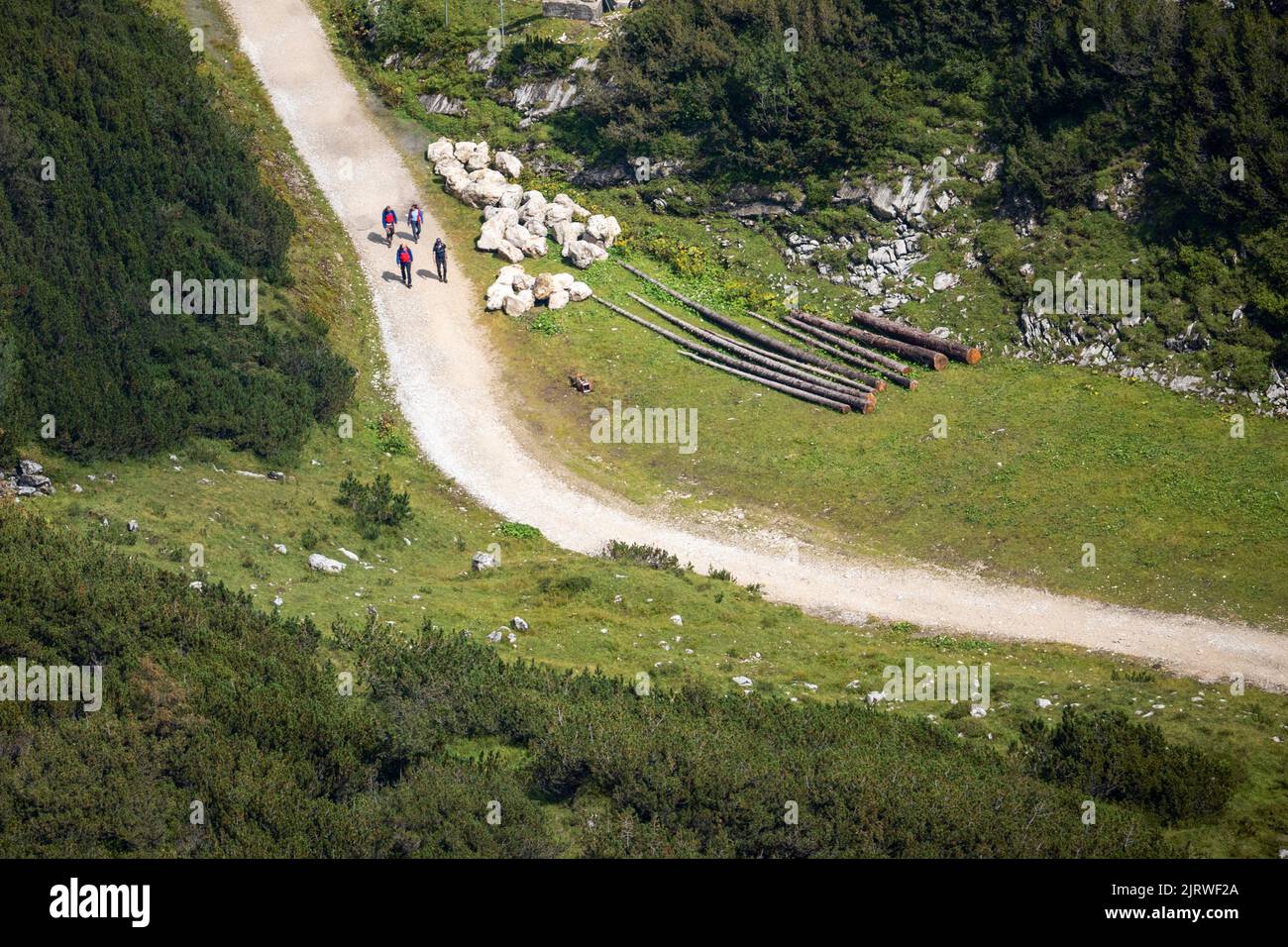 Vier Wanderer gehen die Straße hinauf in der Mitte der grünen Berge Stockfoto