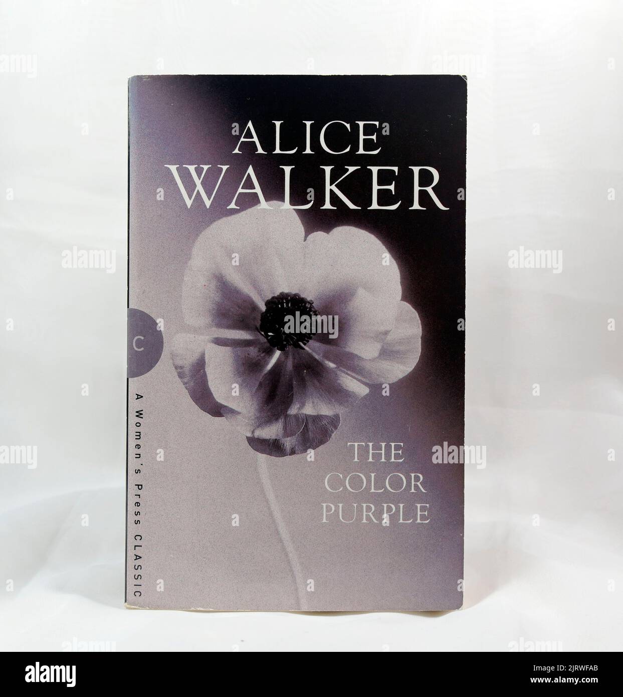 Alice Walker - The Color Purple. broschur. Einrichtung von Studio Stockfoto