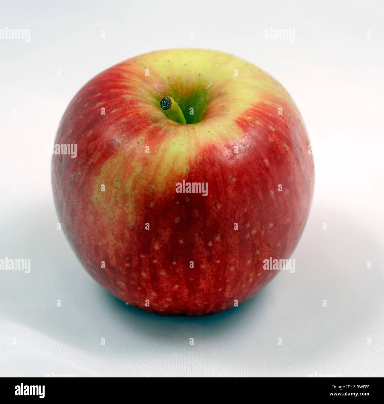 Ein einzelner roter Apfel auf weißem Hintergrund. Studio eingerichtet Stockfoto