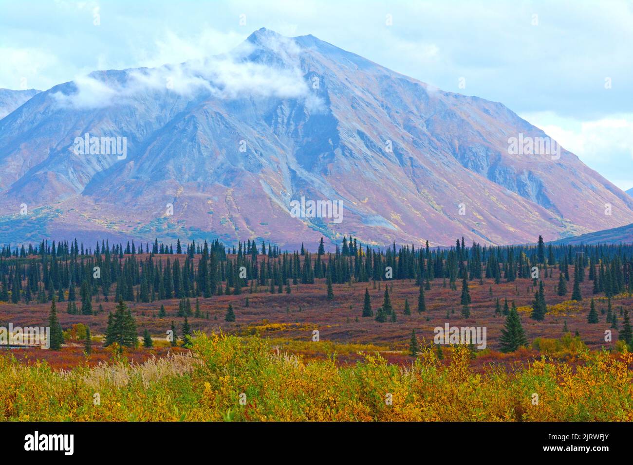Farbenfroher Herbst in Alaska Stockfoto