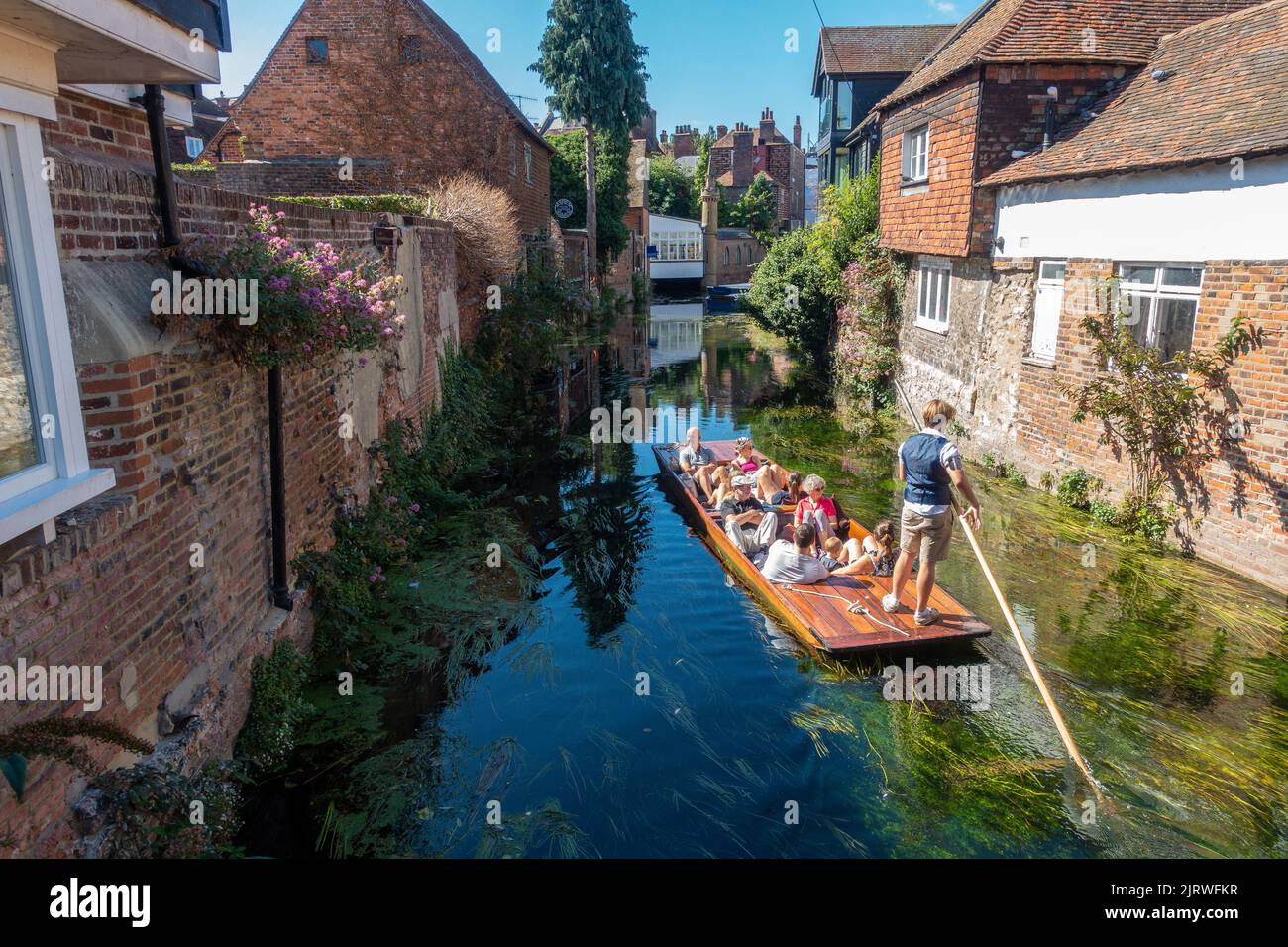 Flusstour, Punt, River Stour, Canterbury, Kent, England Stockfoto
