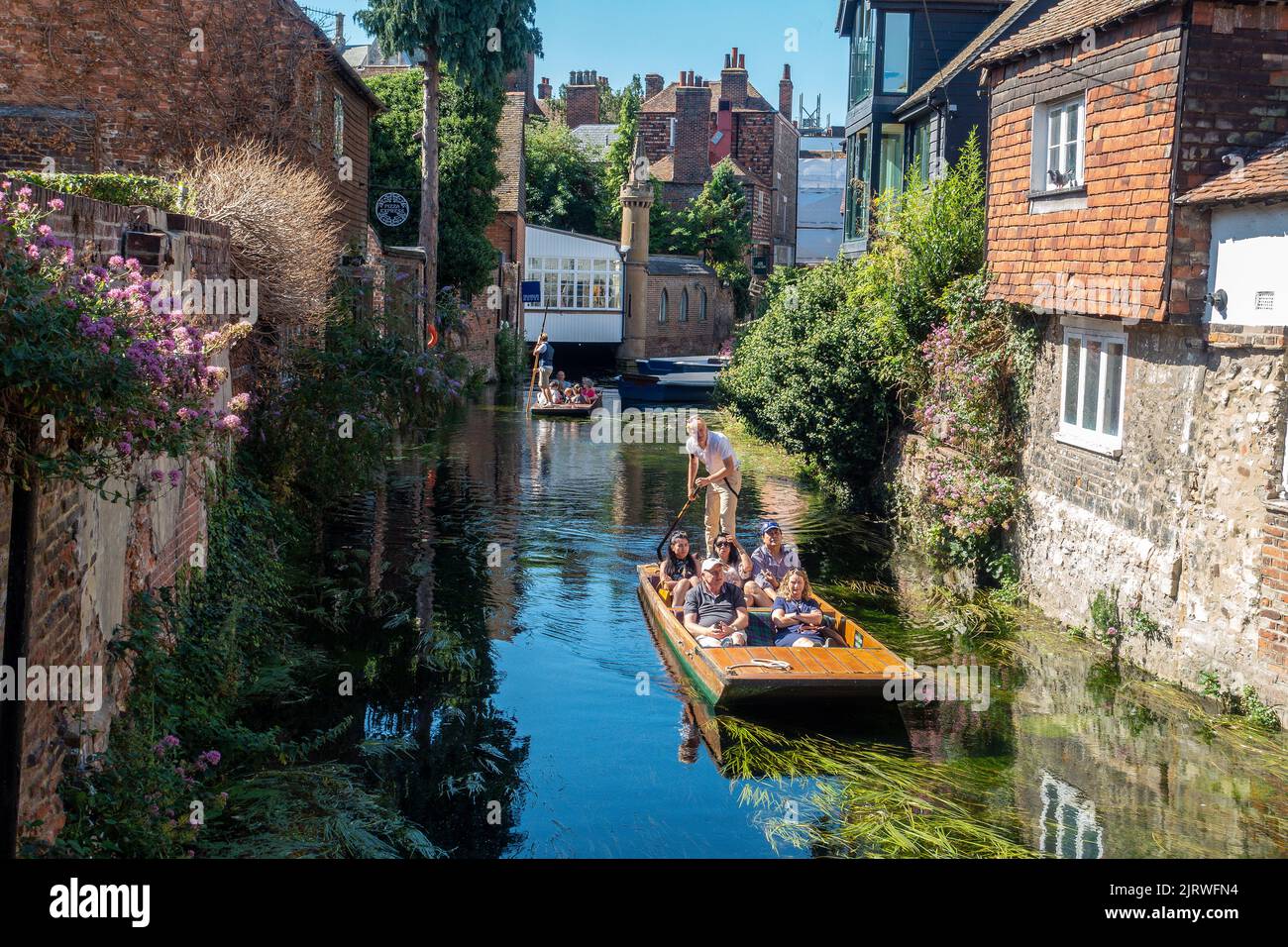 Flusstour, Punt, River Stour, Canterbury, Kent, England Stockfoto