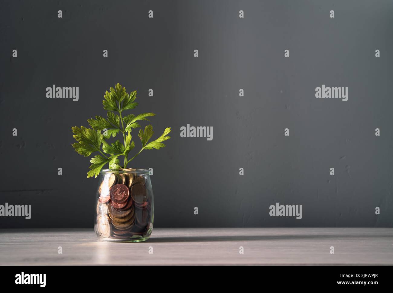 Pflanze Sprossen wachsen in einem Glas voller Münzen auf Holz Hintergrund gespeichert oder investiert für einen Zweck. Stockfoto