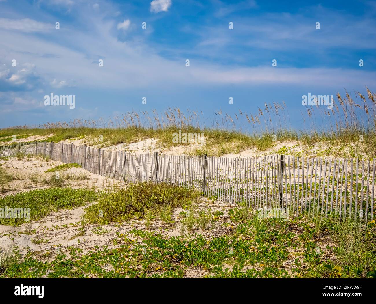 Schneezaun in Sanddünen am Strand des Atlantischen Ozeans im Washington Oaks Gardens State Park in Palm Coast Florida USA Stockfoto