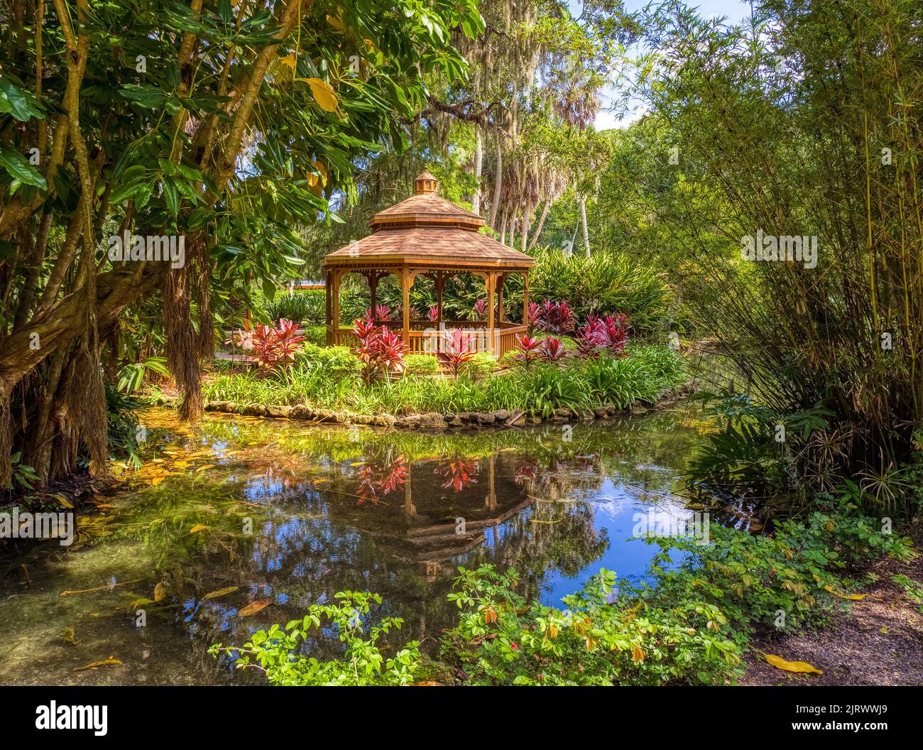 Teich im Washington Oaks Historic District von Washington Oaks Gardens State Park in Palm Coast Florida USA Stockfoto