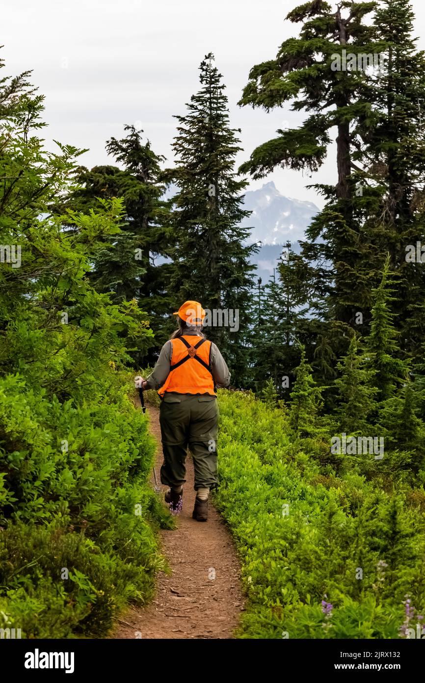 Evergreen Mountain, Cascade Range, Mt. Baker-Snoqualmie National Forest, Staat Washington, USA Stockfoto