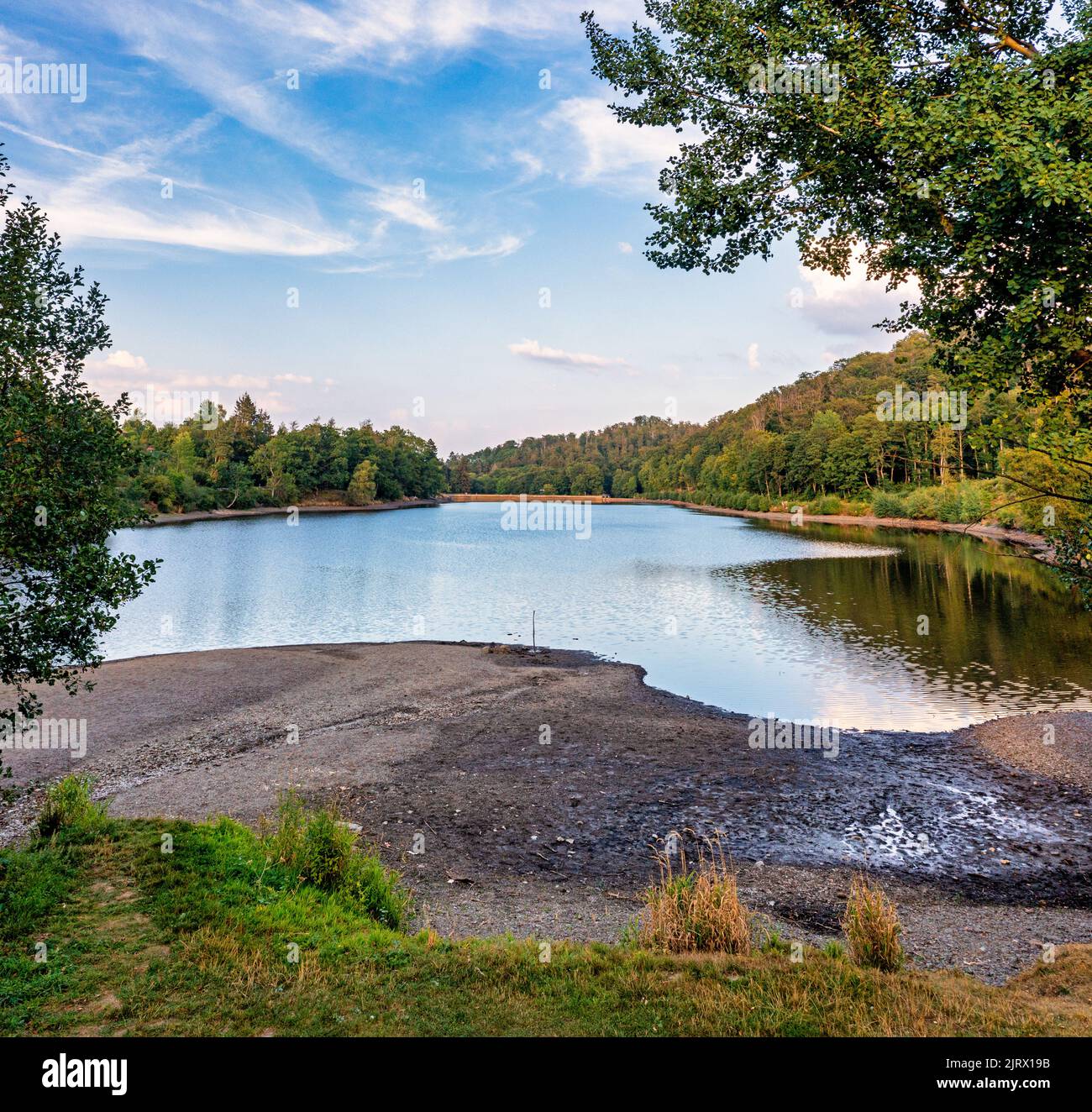 Bergsee Güntersberge Harz Sommer 2022 Stockfoto