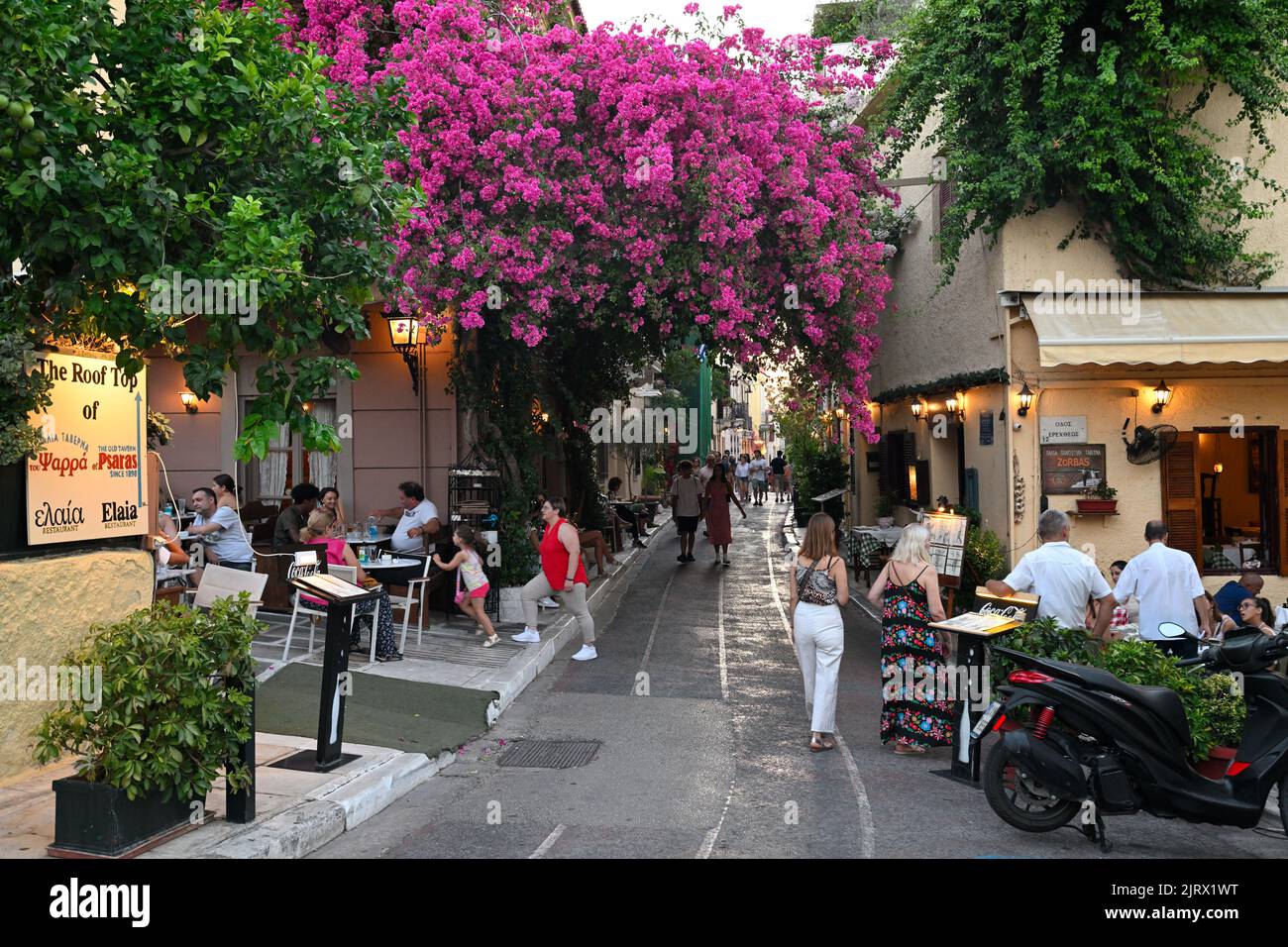 Sommerzeit in der Gegend von Plaka in Athen, Griechenland Stockfoto