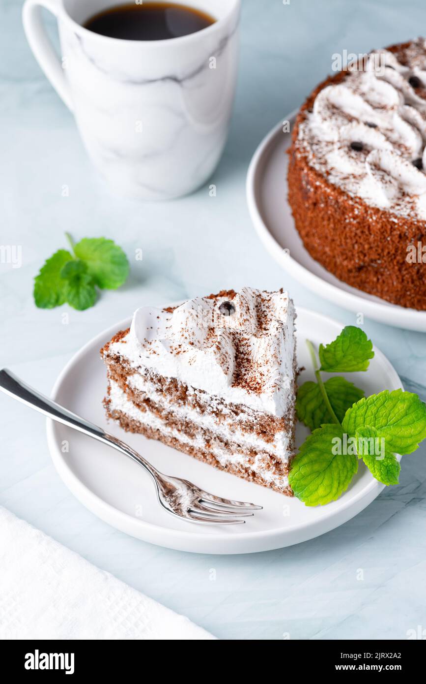 Perfekter hausgemachter Tiramisu-Kuchen mit frischer Minze. Tiramisu-Teil Stockfoto
