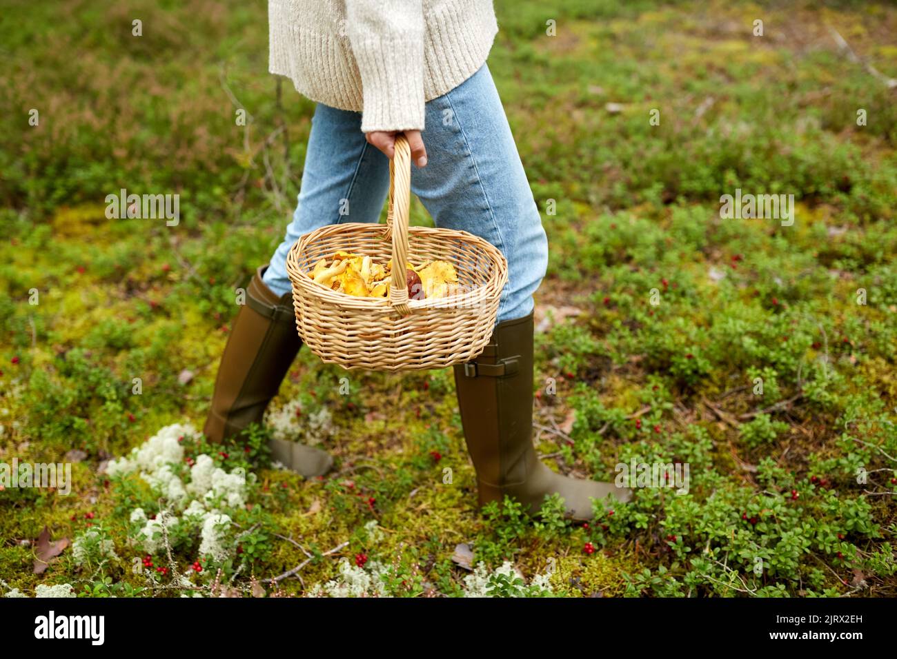 Frau mit Korb Pilze im Wald Stockfoto