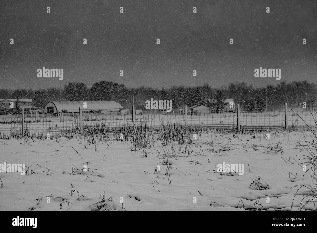 Die Natur am Arbeitsplatz Stockfoto