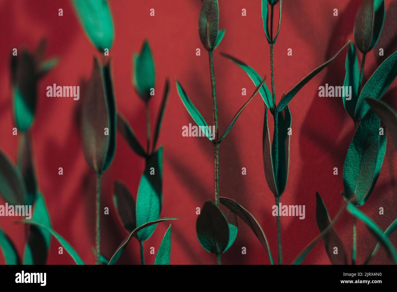 Umweltschutz grüner Stamm roter Hintergrund Stockfoto