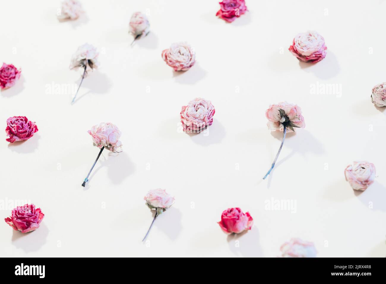 Blumendekor mit verschiedenen Blumenmotiven Stockfoto