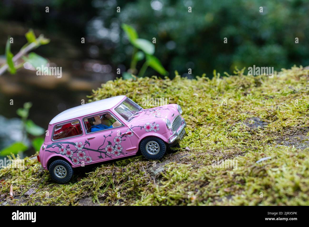 Scalextric Morris Mini Cooper „Twiggy Flower Power“, pinkfarbenes Modellauto in einer Naturszene, auf einem moosigen Stein. Stockfoto