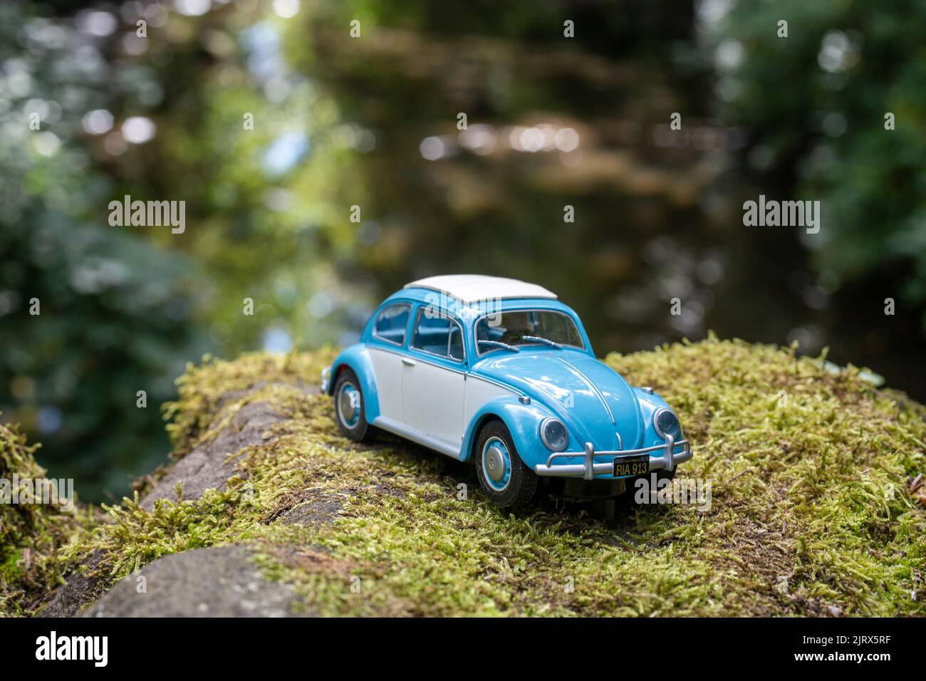 VW Käfer Modellauto, Auto in einer Naturszene, auf einem moosigen Stein. Stockfoto