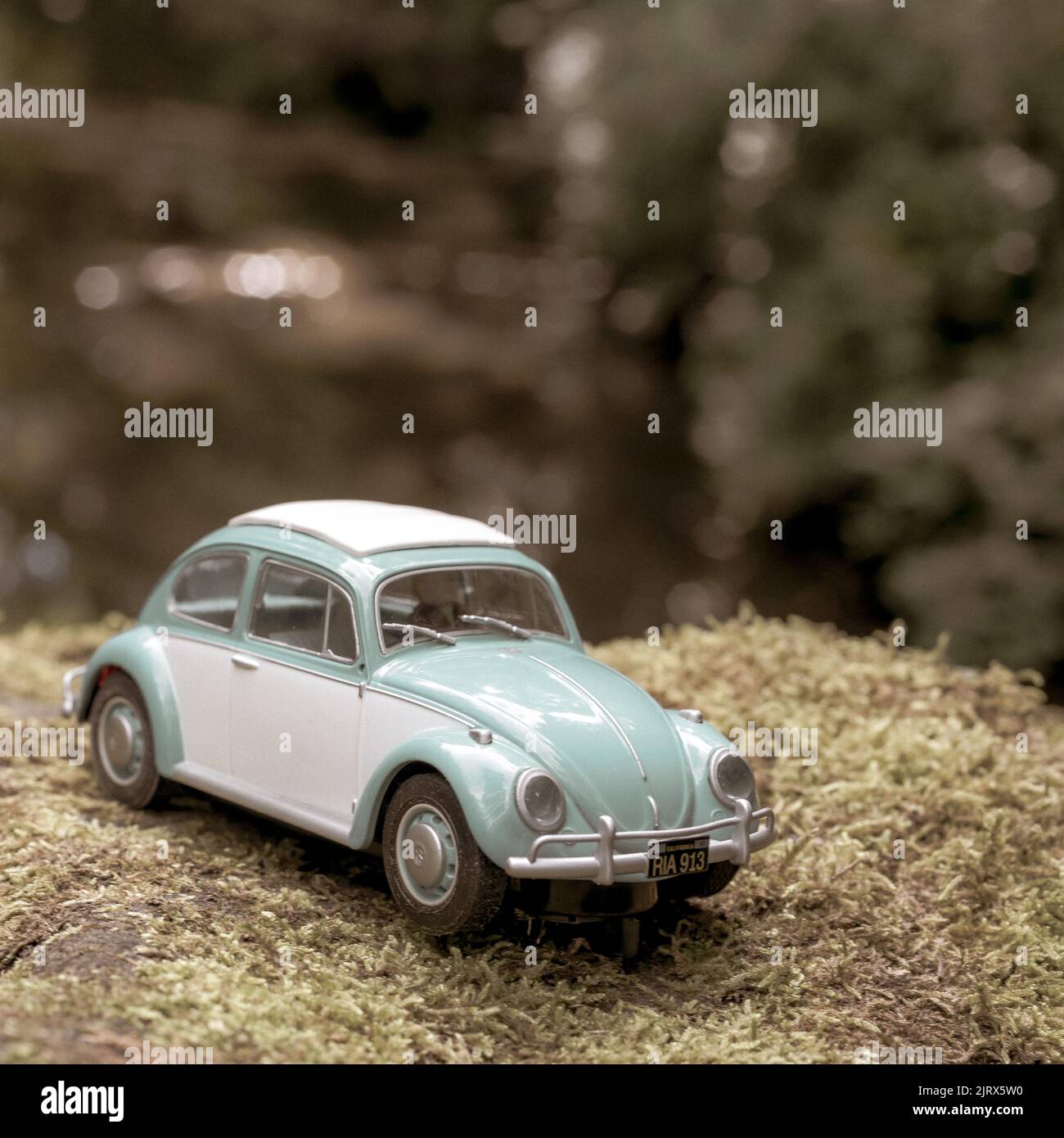 VW Käfer Modellauto, in einer Naturszene, auf einem moosigen Stein. Stockfoto