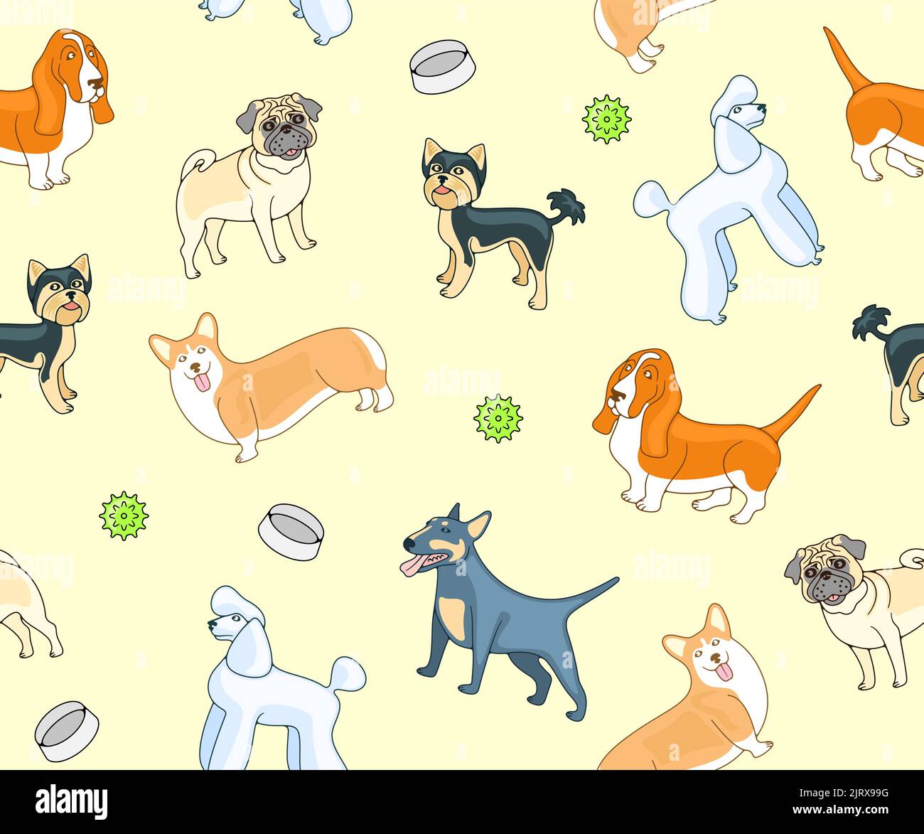 Hunde, Hunderassen, Pudel, Mops und yorkshire Terrier, nahtlose Vektor-Hintergrund, Muster. Tier, Haustiere, Basset und Hund, welsh Corgi und Miniaturbulle Stock Vektor