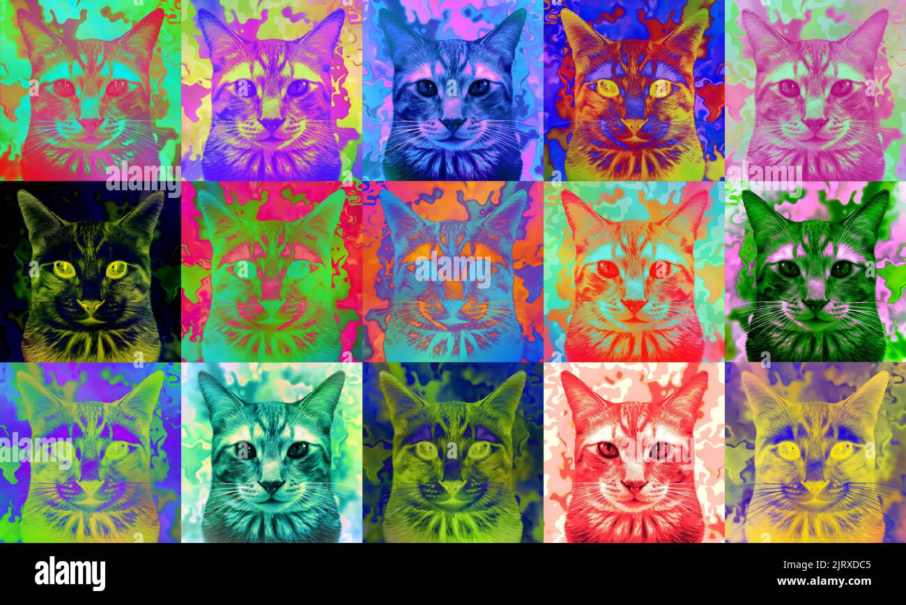 Katze abstrakte Kunst als feline Popkultur Poster Design mit Katzen und Kätzchen Grafikmuster. Stockfoto