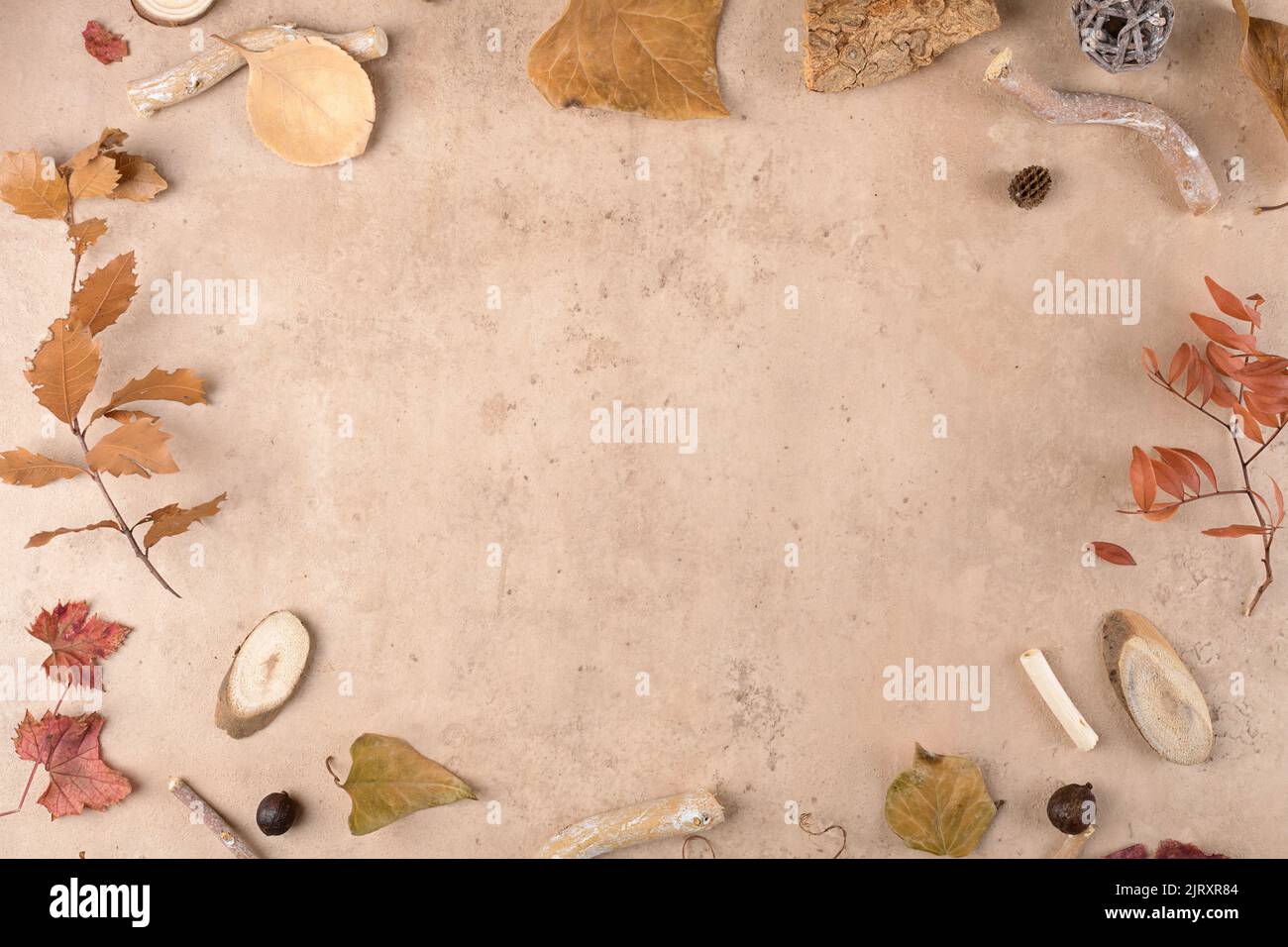 Rahmenrand aus trocken gefallenen Blättern auf dem modernen beg Terrakotta-Stein Hintergrund. Thanksgiving herbstlicher Hintergrund, Draufsicht, flaches Lay Stockfoto