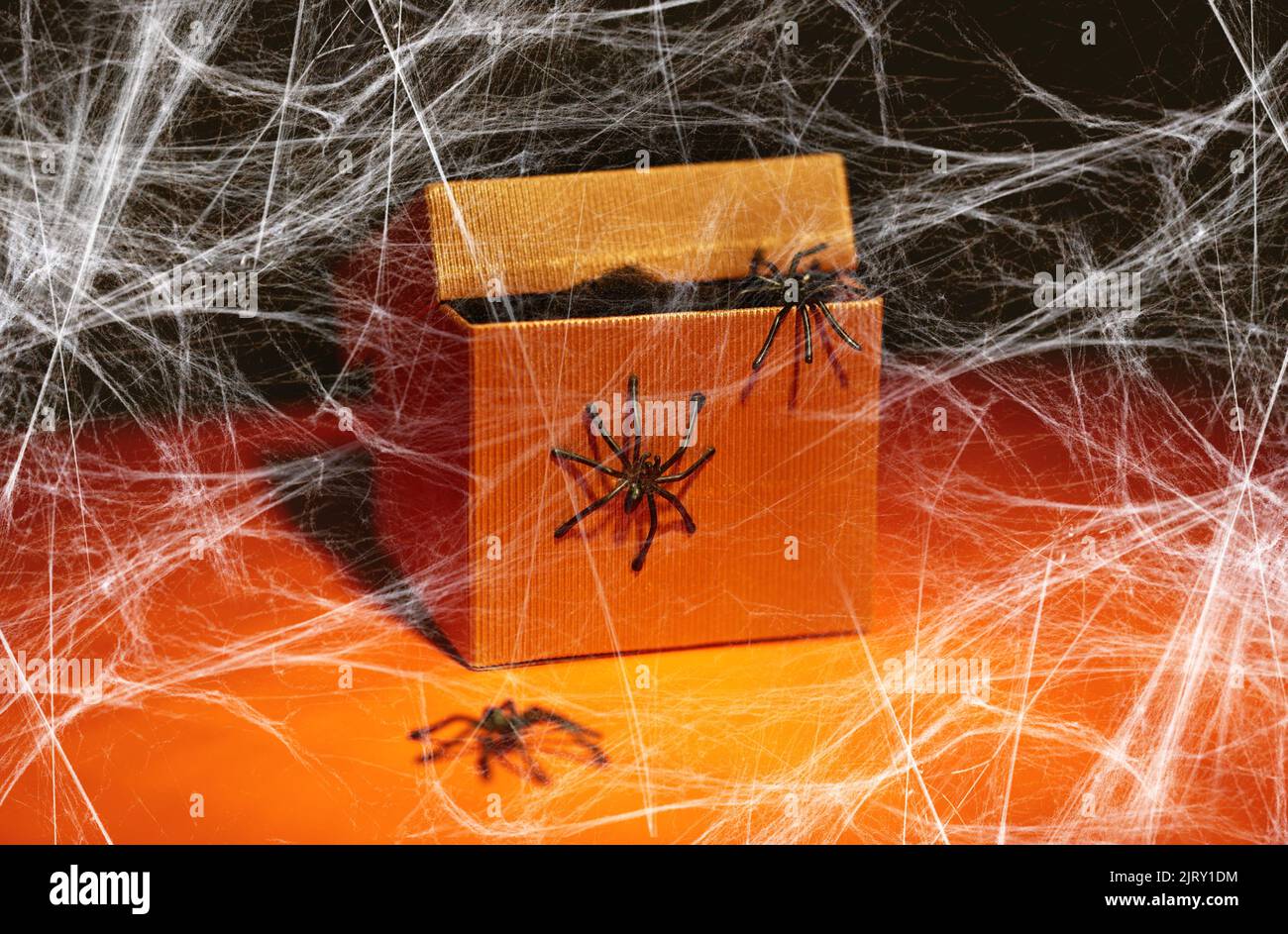 Spielzeug-Spinnen krabbeln an halloween aus der Geschenkbox Stockfoto