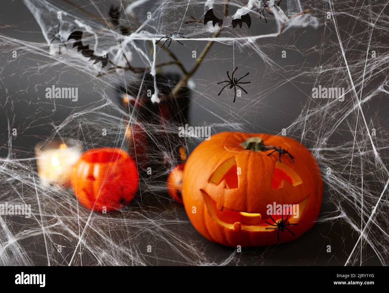 Kürbisse, Spinnennetz und halloween-Dekorationen Stockfoto