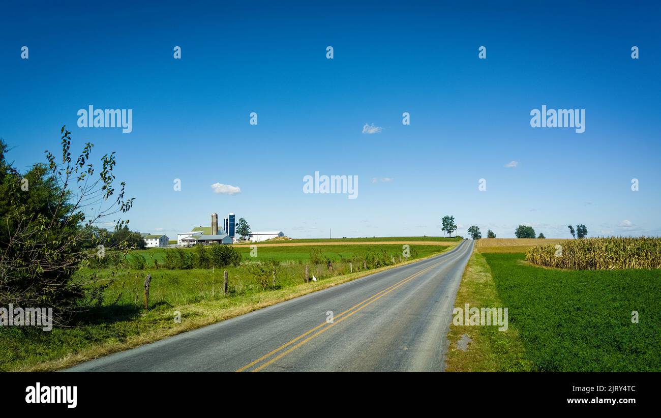 Blick auf eine Landstraße, die an einem sonnigen Tag durch Ackerland führt Stockfoto