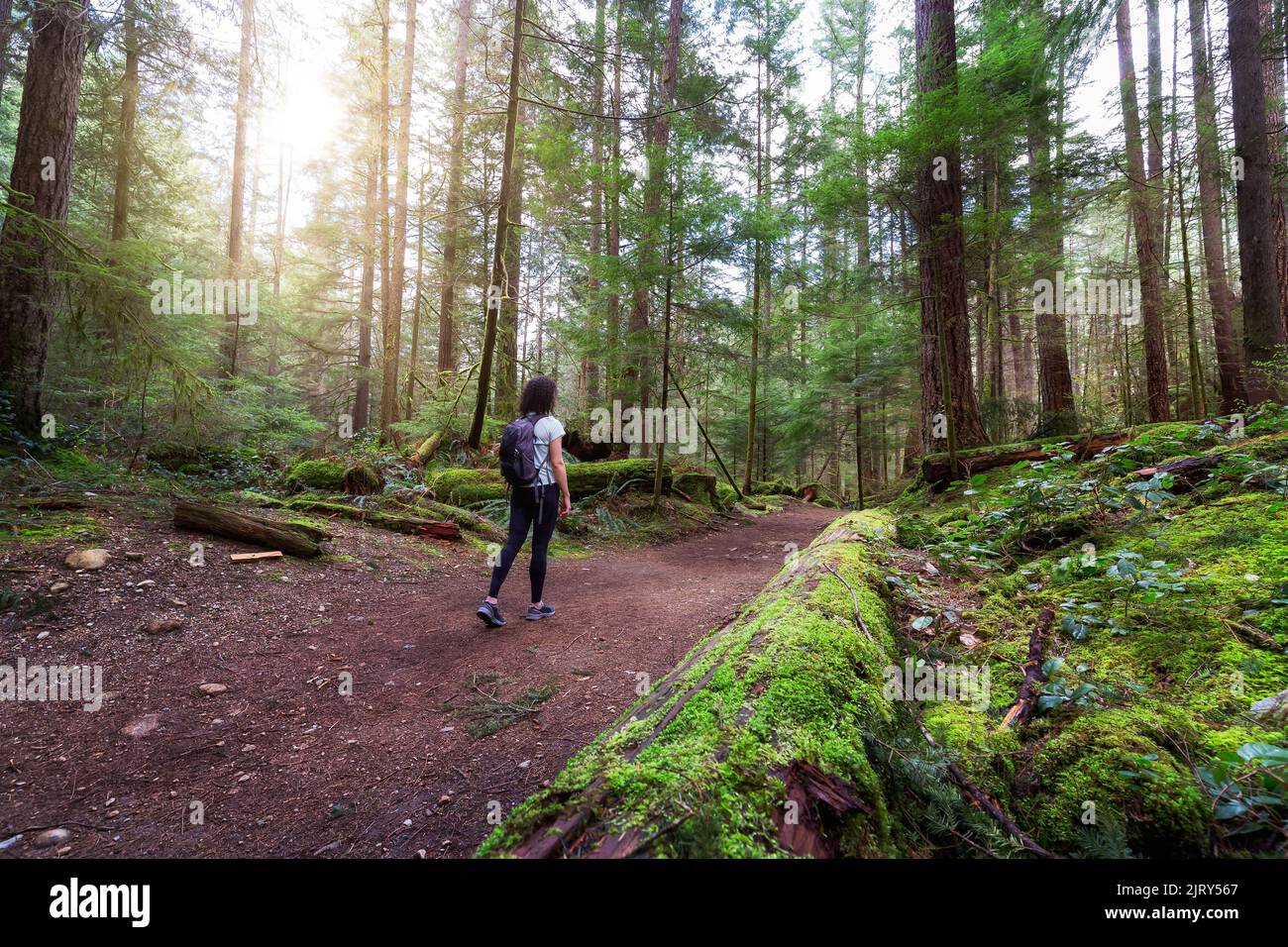 Adventure Woman Wandern auf einem Trail in einem lebendigen Wald mit grünen Bäumen. Stockfoto