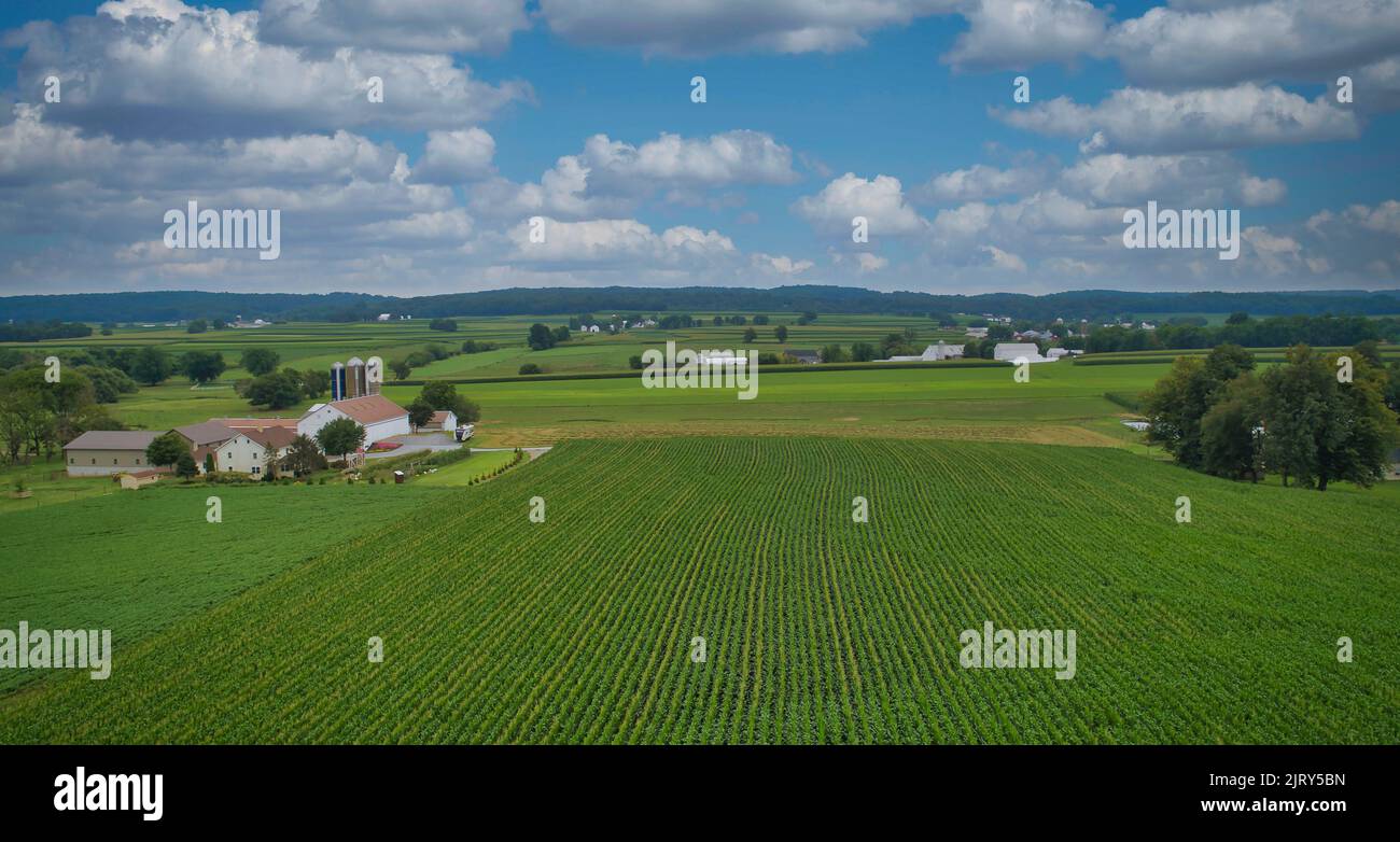 Drohne Blick auf die Landschaft der Amish mit Scheunen und Silos, einer Patch-Arbeit des Corps und Ackerland am Sonnentag. Stockfoto