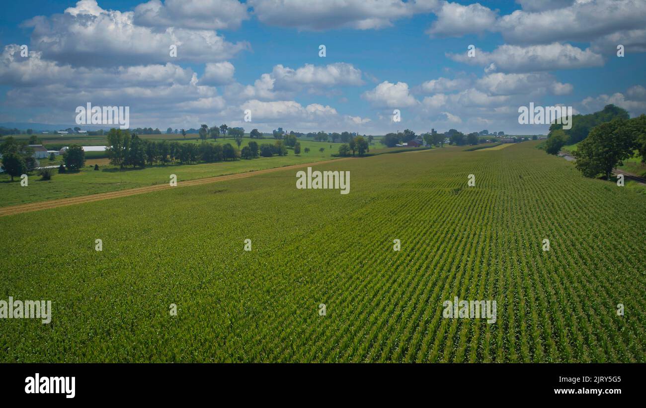 Drohne Blick auf die Landschaft der Amish mit Scheunen und Silos, einer Patch-Arbeit des Corps und Ackerland am Sonnentag. Stockfoto