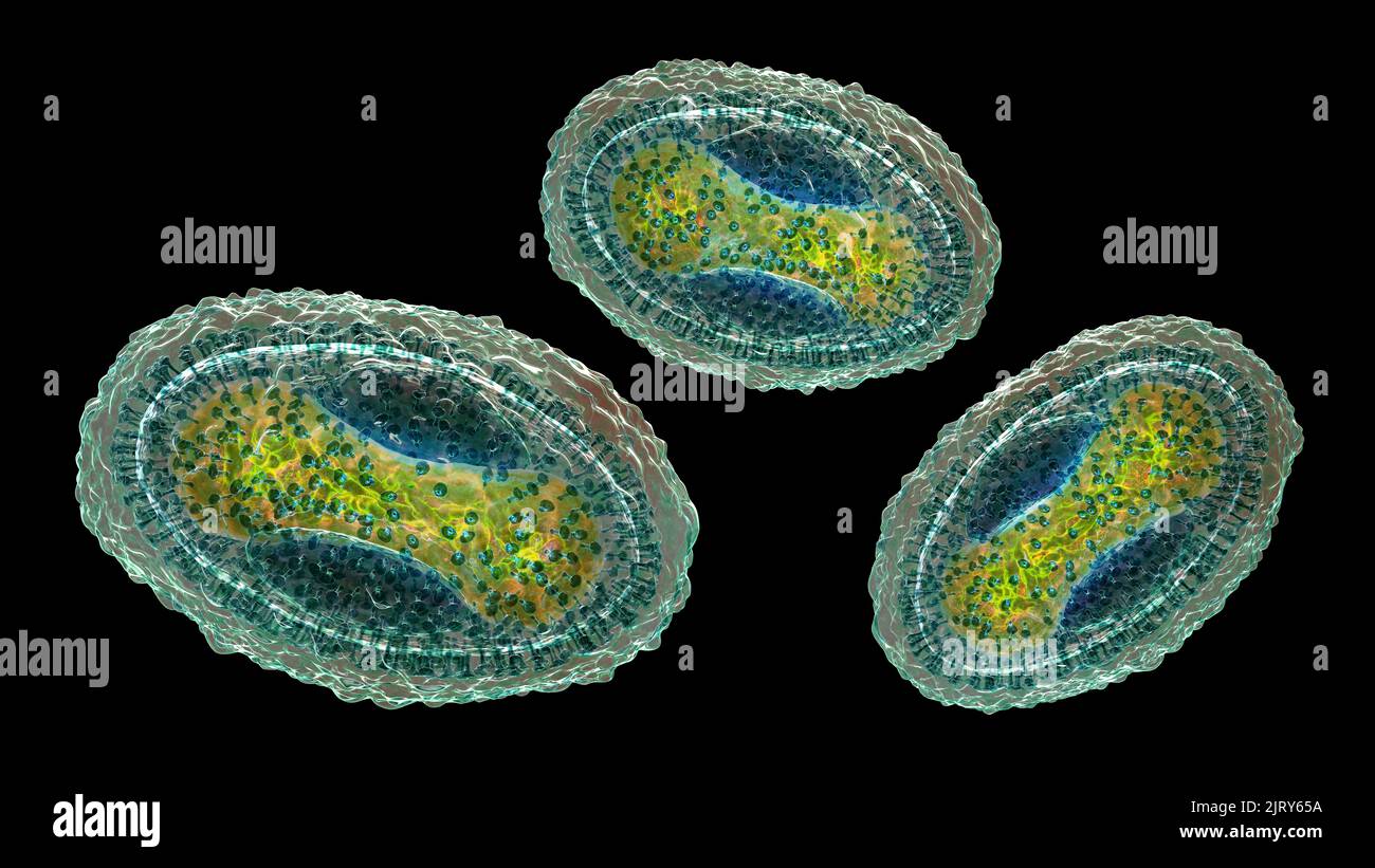 Molluskum contagiosum Virus, Illustration Stockfoto