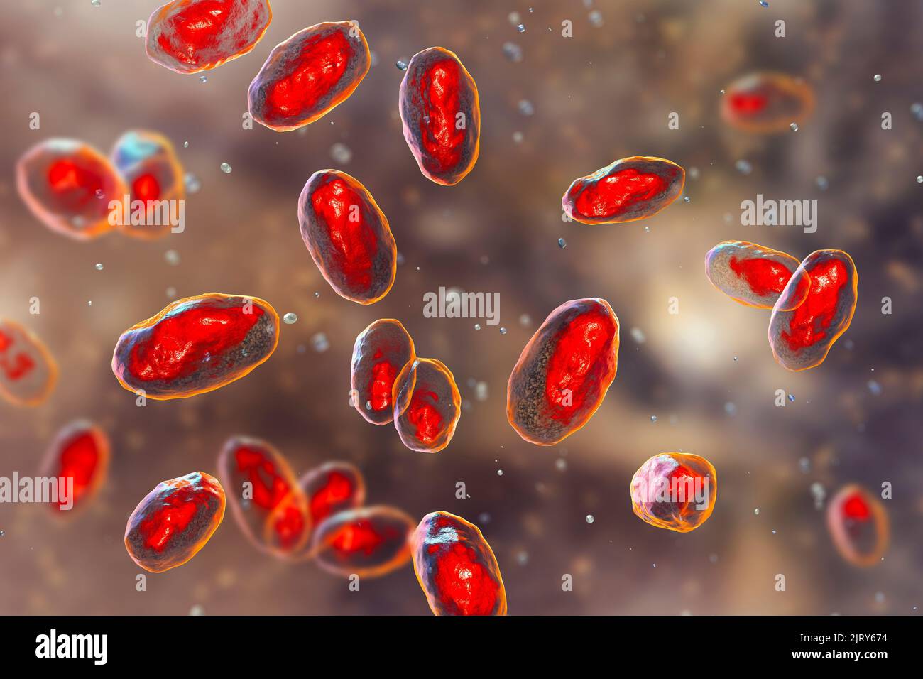 Inguinale lymphadenitis Fotos und Bildmaterial in hoher Auflösung Alamy