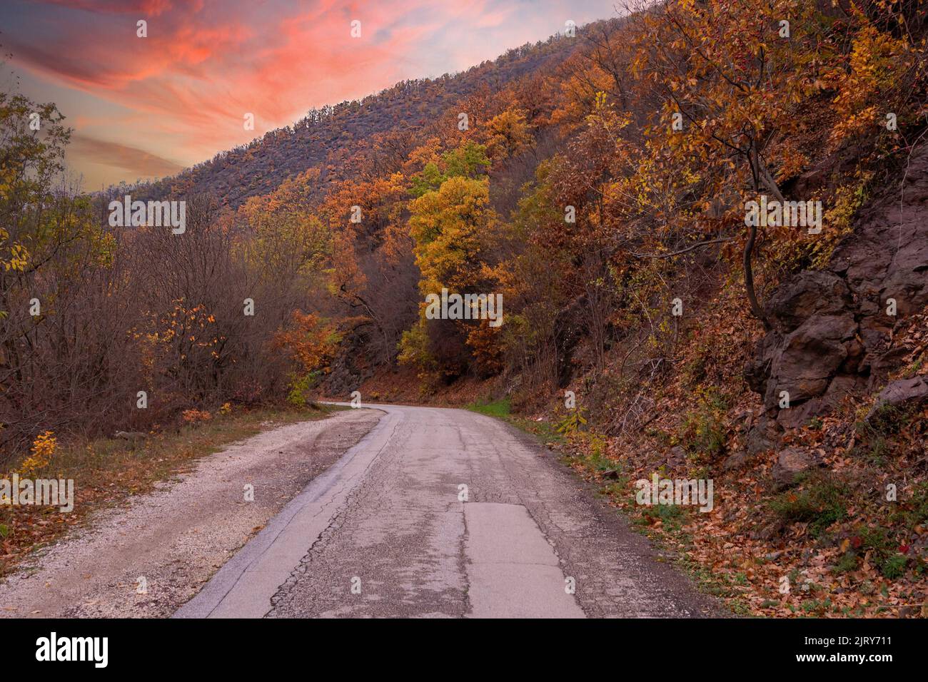 Leere ländliche beschädigte schmutzige Straße, umgeben von Waldbäumen mit gelben Blättern und dramatischem Himmel Stockfoto