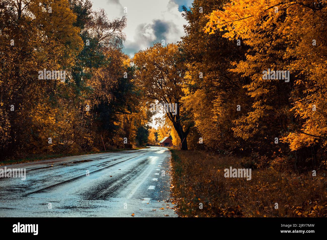 Schöner Herbsttag im Herbst. Ein Herbsttag in Falkenberg Schweden. Schönes rotes Blatt Stockfoto