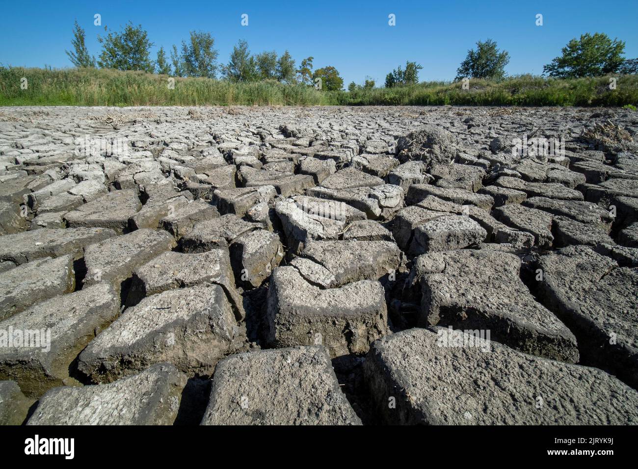 Stark ausgetrockneter Grund eines Teiches, Nationalpark Neusiedler See-Seewinkel, Breitenbrunn, Burgenland, Österreich Stockfoto