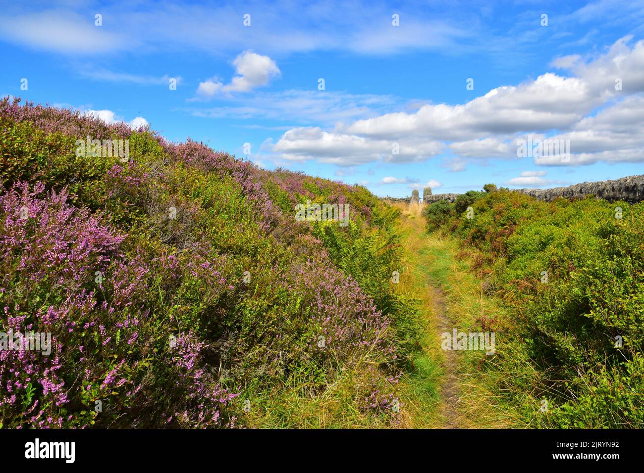 Heptonstall Moor, Pennines, West Yorkshire Stockfoto