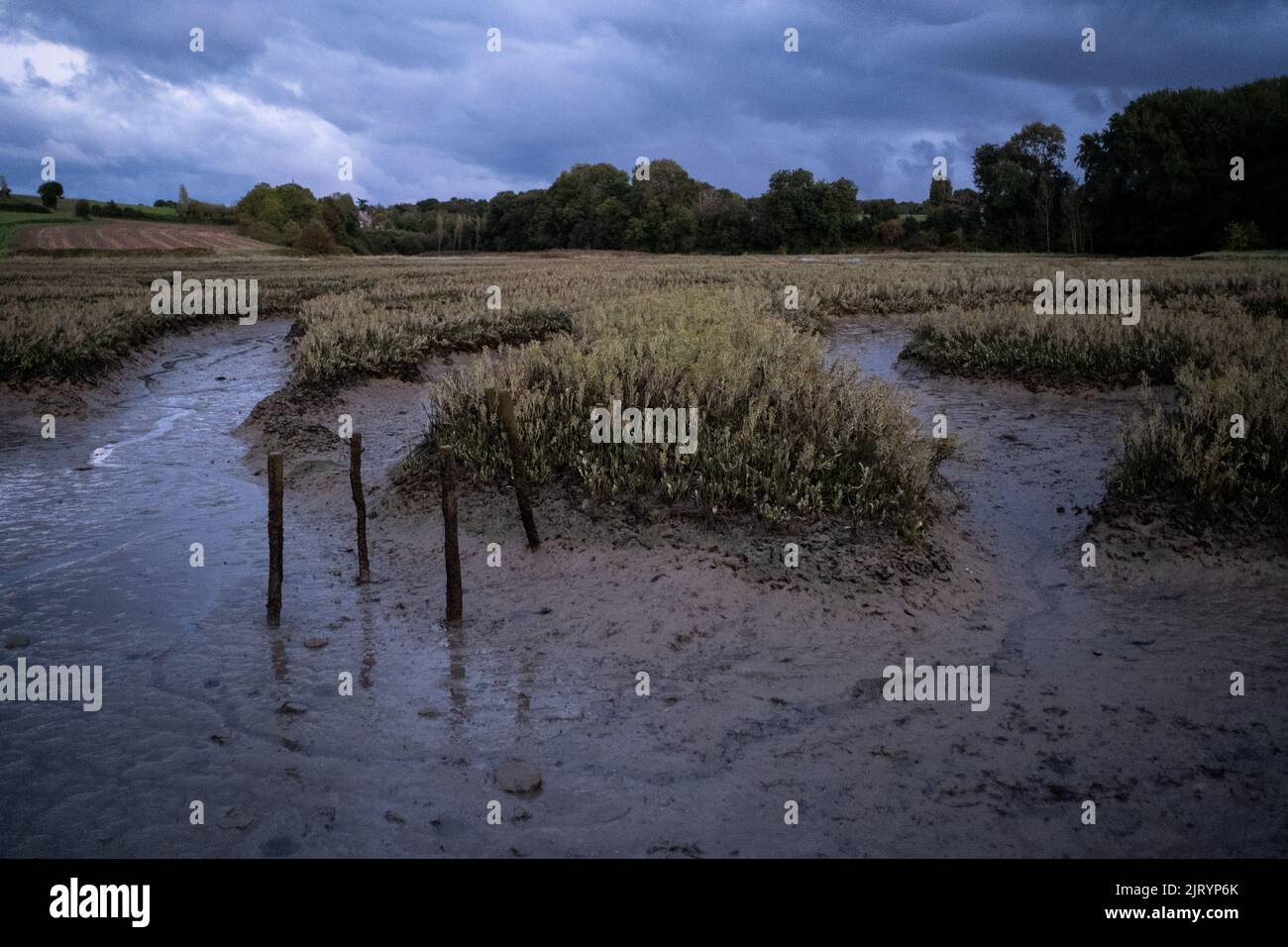 Frankreich, Bretagne, Pleudihen-sur-Rance, die 2020-09-23. Langfristiger Bericht über die Fragen des Flusses Rance in der Bretagne und insbesondere zu dieser Frage Stockfoto