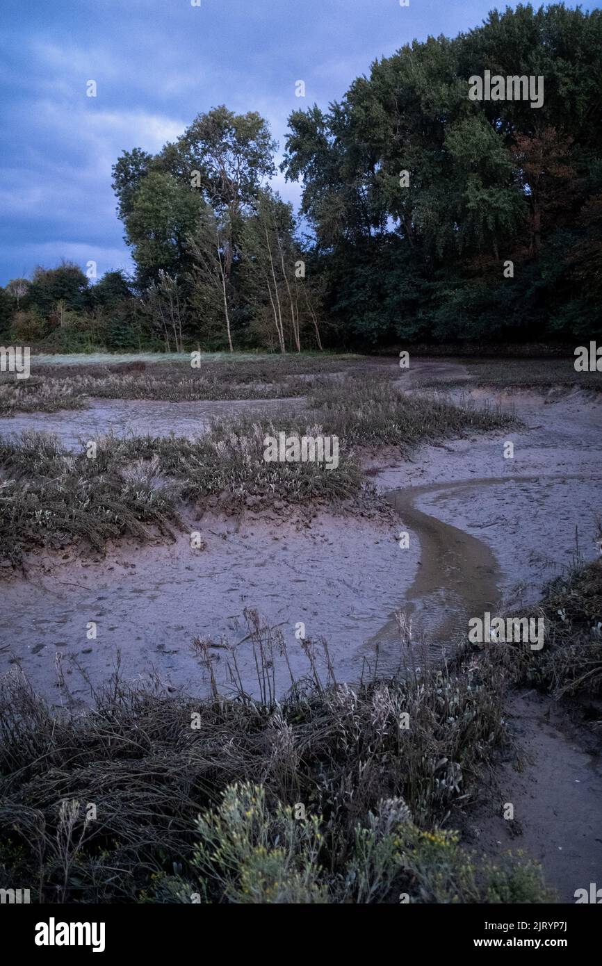 Frankreich, Bretagne, Pleudihen-sur-Rance, die 2020-09-23. Langfristiger Bericht über die Fragen des Flusses Rance in der Bretagne und insbesondere zu dieser Frage Stockfoto