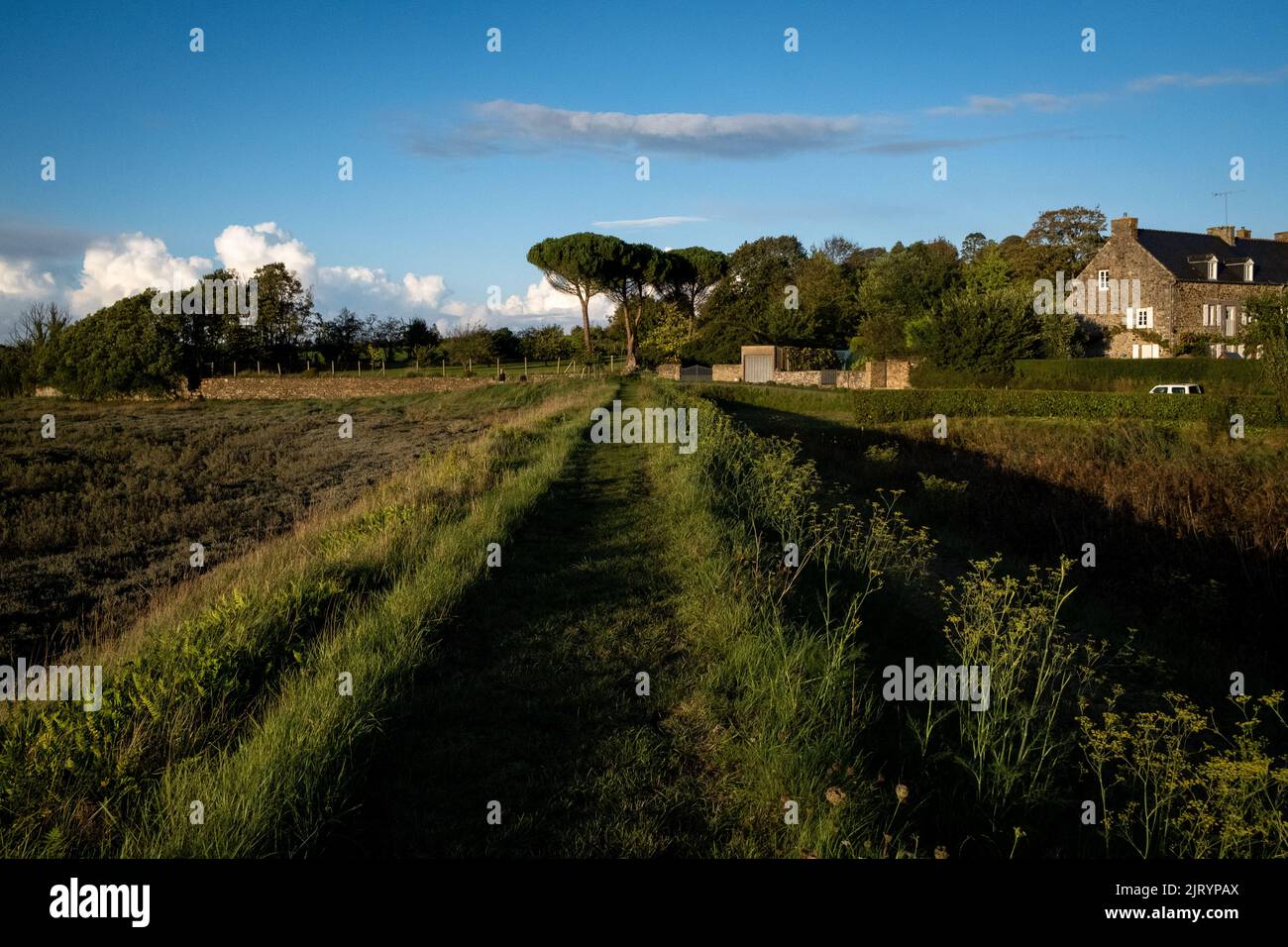 Frankreich, Bretagne, Pleudihen-sur-Rance, die 2020-09-24. Langfristiger Bericht über die Fragen des Flusses Rance in der Bretagne und insbesondere zu dieser Frage Stockfoto
