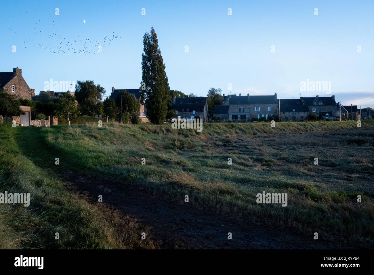 Frankreich, Bretagne, Pleudihen-sur-Rance, die 2020-09-24. Langfristiger Bericht über die Fragen des Flusses Rance in der Bretagne und insbesondere zu dieser Frage Stockfoto